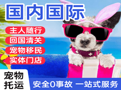 上饶三清山机场快运国际宠物托运 【国